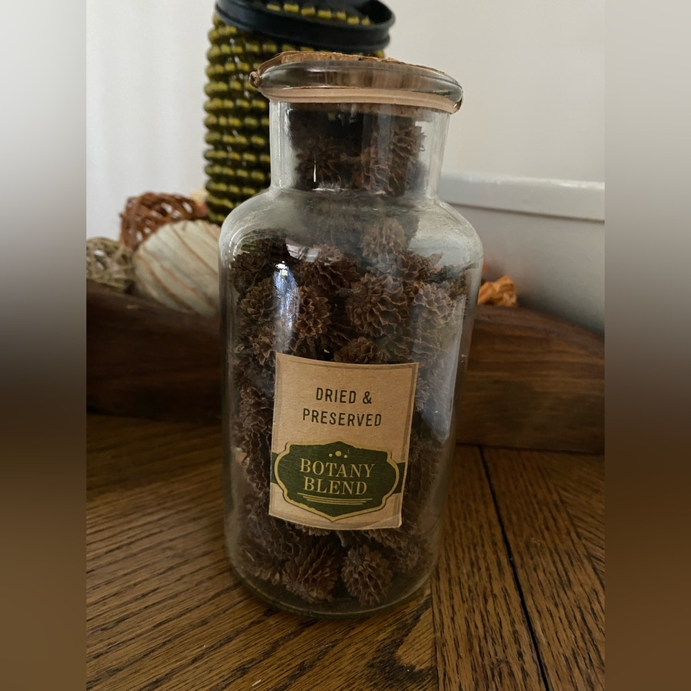 NWT Hobby Lobby Botany Blend Scented Mini Pinecones  Sealed Apothecary Jar